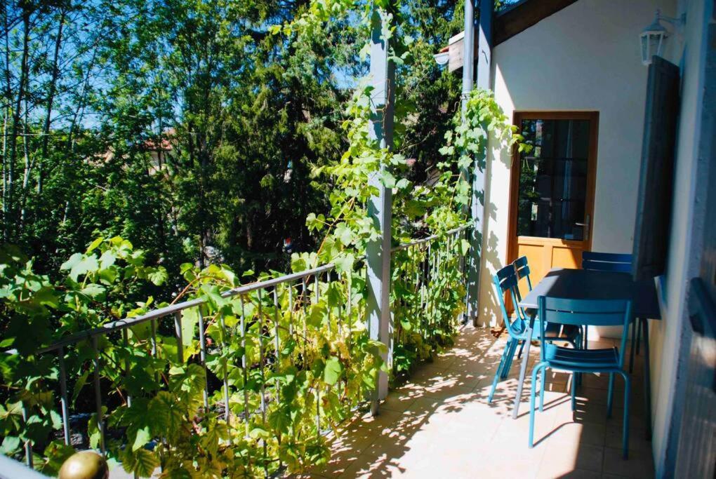 Maison 3 Chambres Au Lac D'Annecy, 30Min La Clusaz Мантон-Сен-Бернар Екстер'єр фото