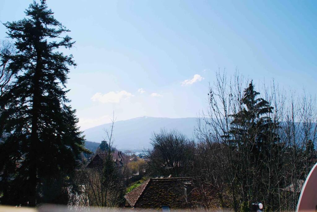 Maison 3 Chambres Au Lac D'Annecy, 30Min La Clusaz Мантон-Сен-Бернар Екстер'єр фото