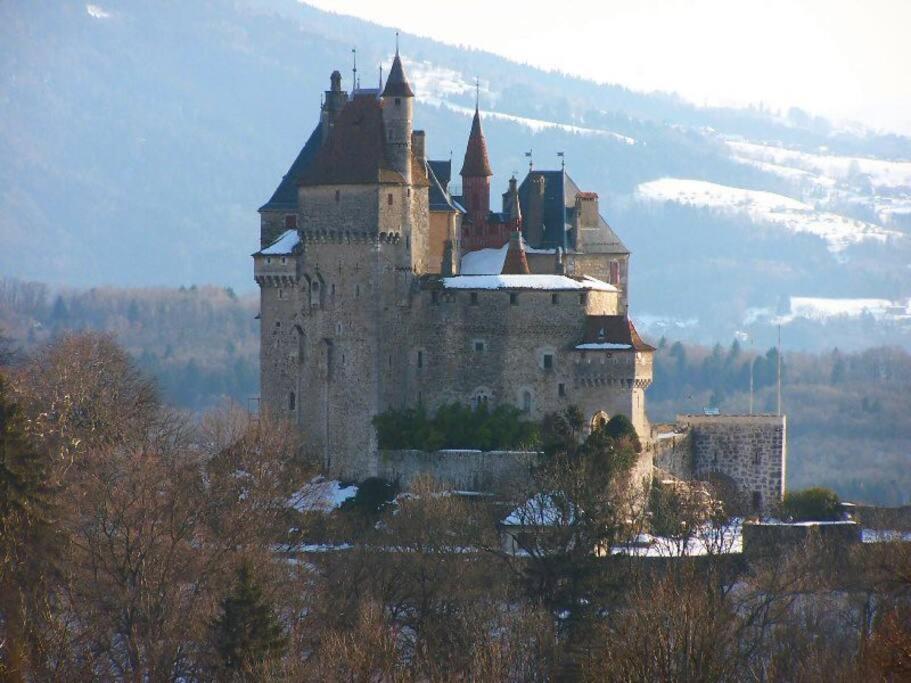 Maison 3 Chambres Au Lac D'Annecy, 30Min La Clusaz Мантон-Сен-Бернар Екстер'єр фото