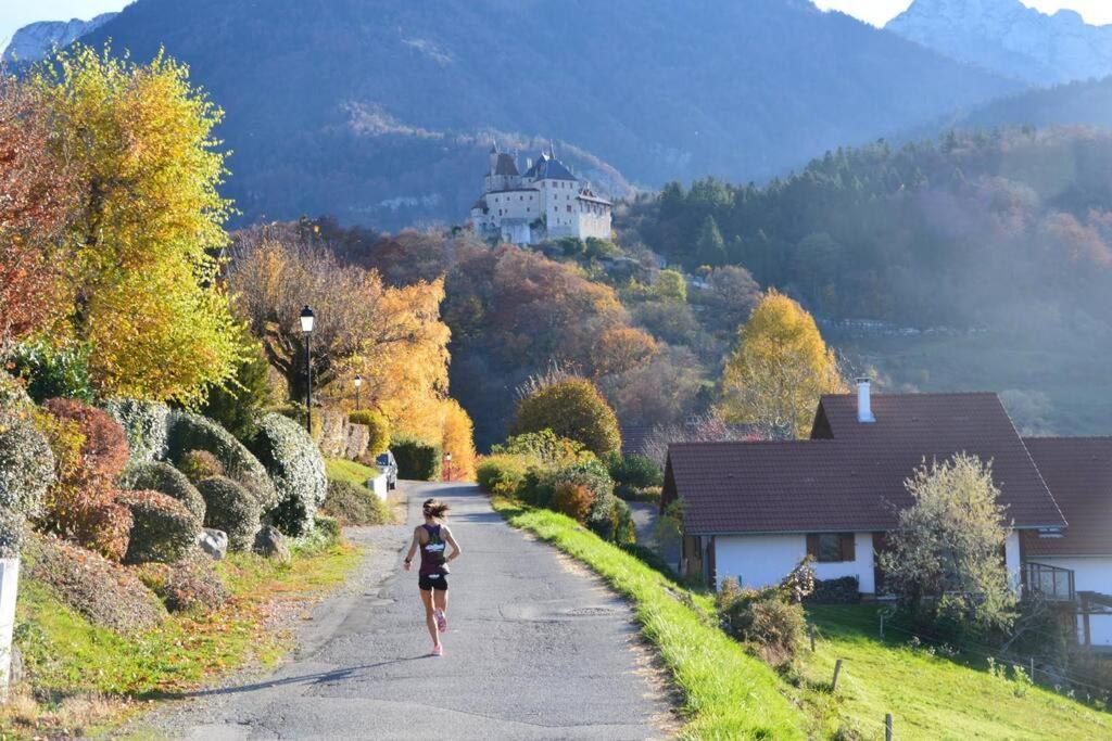 Maison 3 Chambres Au Lac D'Annecy, 30Min La Clusaz Мантон-Сен-Бернар Екстер'єр фото