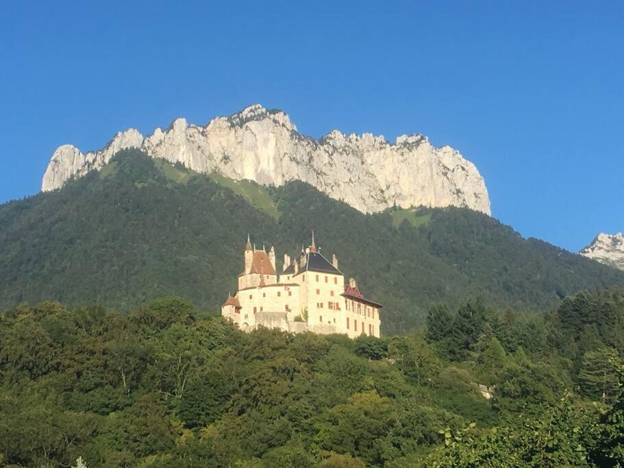 Maison 3 Chambres Au Lac D'Annecy, 30Min La Clusaz Мантон-Сен-Бернар Екстер'єр фото
